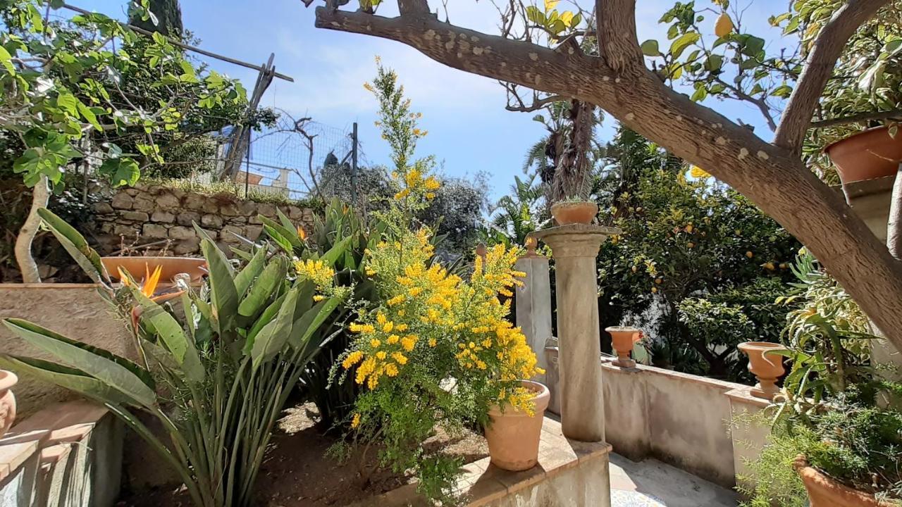 Villa Dorothee Capri Bagian luar foto
