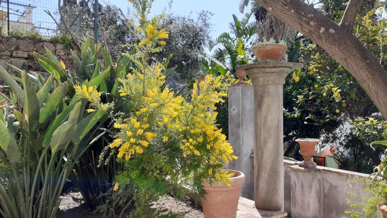 Villa Dorothee Capri Bagian luar foto
