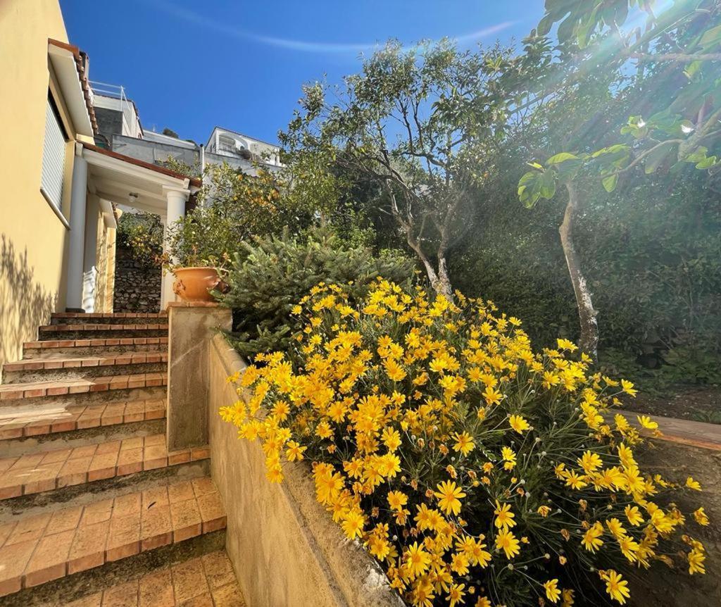 Villa Dorothee Capri Bagian luar foto