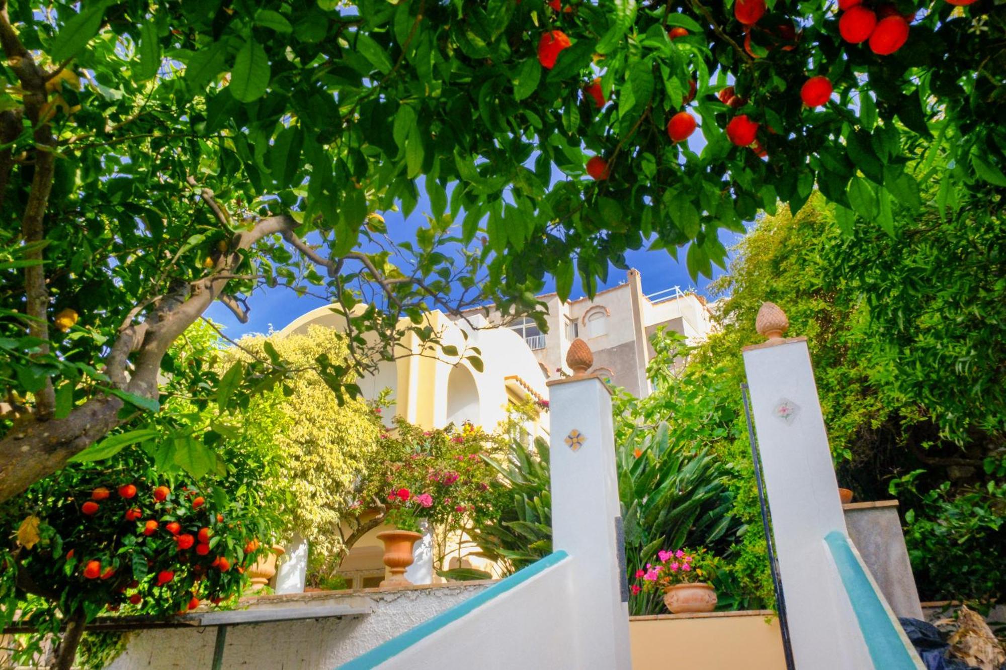 Villa Dorothee Capri Bagian luar foto