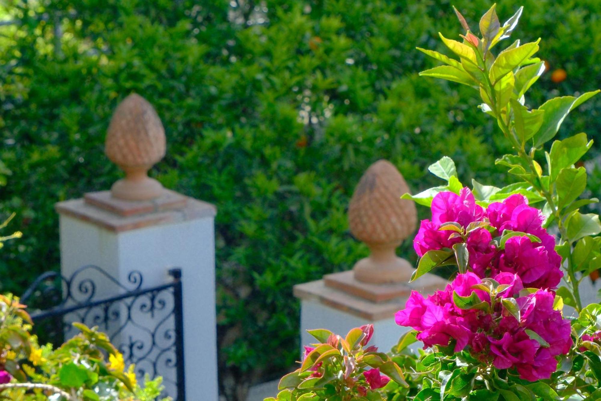 Villa Dorothee Capri Bagian luar foto